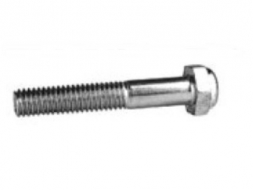 Preview: Flipper Beinschraube